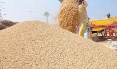 छत्तीसगढ़ में 106 लाख मीट्रिक टन से अधिक धान के उठाव के लिए डीओ जारी