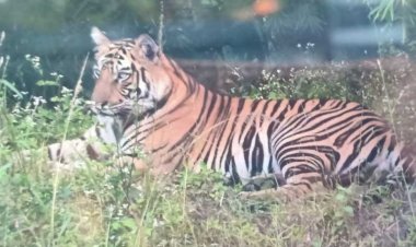 पर्यटकों का स्वागत करेंगी महिला गाइड, पर्यटन विभाग दे रहा ट्रेनिंग