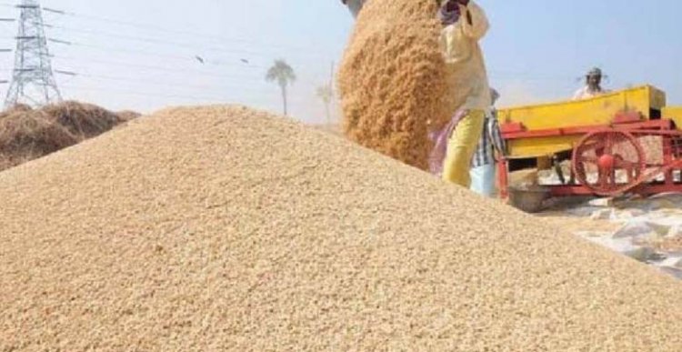 छत्तीसगढ़ में 106 लाख मीट्रिक टन से अधिक धान के उठाव के लिए डीओ जारी