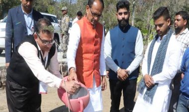 मुख्यमंत्री ने आँवला, नीम और गुलमोहर के पौधे रोपे