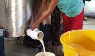 प्रगति स्व सहायता समूह की महिलाएं रीपा से जुड़कर हुई उद्यमी