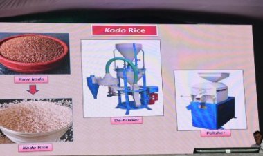 मिलेट्स कार्निवाल में प्रसंस्करण और उनकी मूल्यवर्धन पर हुई परिचर्चा