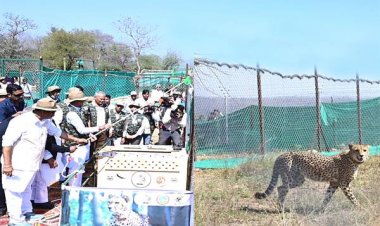 चीतों के आने से कूनो सेंचुरी बनेगी एशिया के आकर्षण का केन्द्र: CM शिवराज 