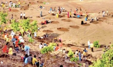 26 को हाथीपावा पहाड़ी पर हलमा के लिए जुटेंगे 50 हजार आदिवासी, श्रमदान करेंगे सीएम