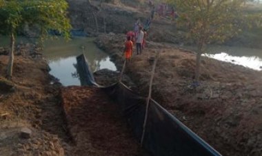 नरवा विकास योजना ने बदली वनांचल की तस्वीर, बढ़ रहा भू-जल स्तर