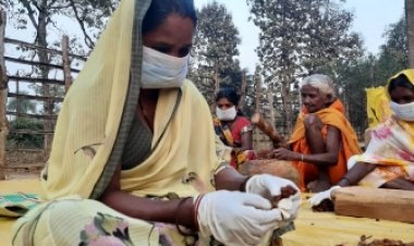 लघु वनोपजों के संग्रहण में देश में अव्वल छत्तीसगढ़, 65 लघु वनोपजों की हो रही खरीदी समर्थन मूल्य पर