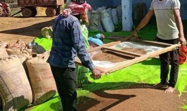 मिलेट्स फसलों को बढ़ावा देने समर्थन मूल्य पर की जा रही इनकी खरीदी 