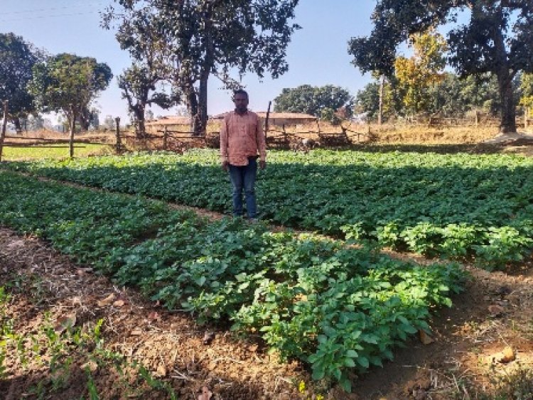 पशु पालन और बाड़ी विकास से आर्थिक उन्नति की राह बना रहे अंबिका प्रसाद