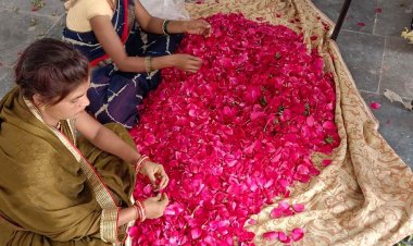 होली का रंगों भरा पर्व समूह की महिलाओं के लिए रहा बहुत खास