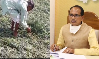 ओलावृष्टि का हो रहा सर्वे किसानों को मिलेगी जल्द राहत राशि : मुख्यमंत्री चौहान