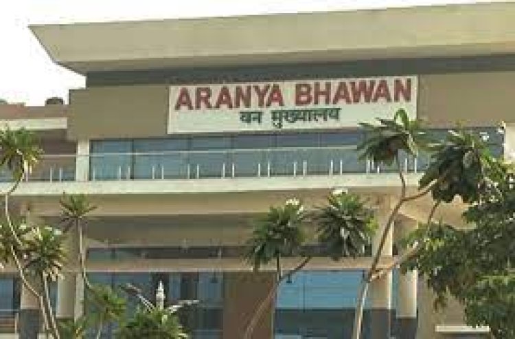 वन क्षेत्रों में अग्नि से सुरक्षा के के लिए छग सरकार का व्यापक सुरक्षा प्रबंध