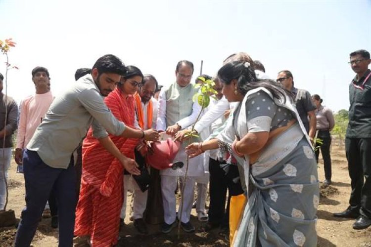 मुख्यमंत्री ने कदम्ब, सारिका इंडिका और करंज के पौधे लगाए