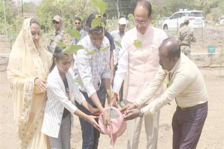मुख्यमंत्री ने किया पौध-रोपण