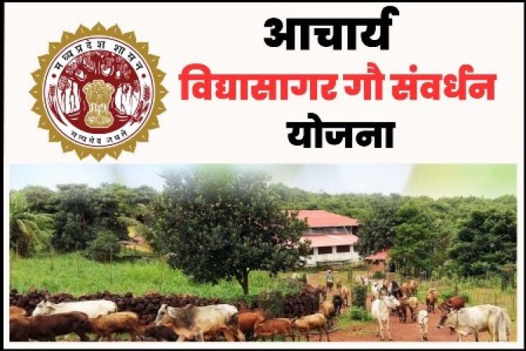 आचार्य विद्यासागर योजना का लाभ उठायें पशुपालक