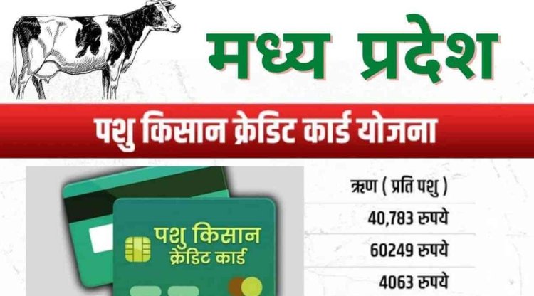 मध्यप्रदेश के पशुपालकों को देश में सर्वाधिक क्रेडिट कार्ड 