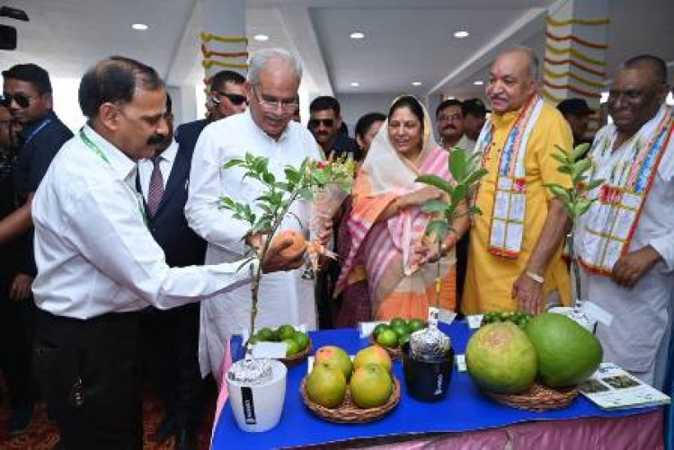 CM बघेल ने महात्मा गांधी उद्यानिकी एवं वानिकी विवि कैम्प कार्यालय का उद्घाटन किया 