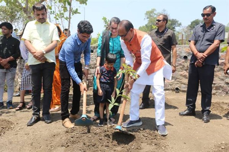 मुख्यमंत्रीने नीम, आम और अमरूद के पौधे लगाए