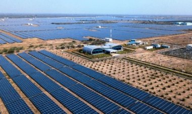 अडानी ग्रीन एनर्जी लिमिटेड का 4 गुना मुनाफा बढ़ा, हिंडनबर्ग को करारा जवाब