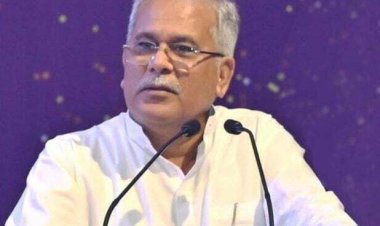 सांकरा पाटन में 120 करोड़ की लागत से बनेगा महात्मा गांधी उद्यानिकी एवं वानिकी विश्वविद्यालय भव्य भवन