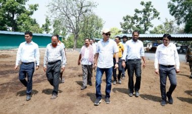 गौठानों में चारे पानी की हो पर्याप्त व्यवस्था: कलेक्टर