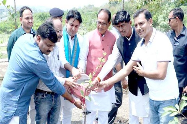 CM शिवराज के साथ राष्ट्रीय सेवा योजना की छात्राओं ने लगाए पौधे