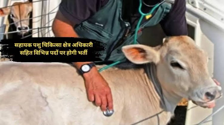 भूपेश सरकार करेगी 150 सहायक पशु चिकित्सा अधिकारी की सीधी भर्ती