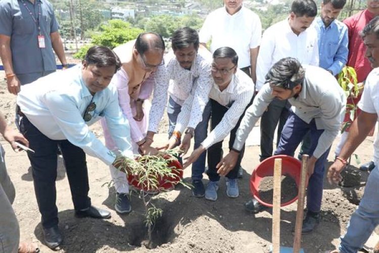 मुख्यमंत्री ने मंत्रोच्चार के साथ लगाए पीपल, आम और इमली के पौधे