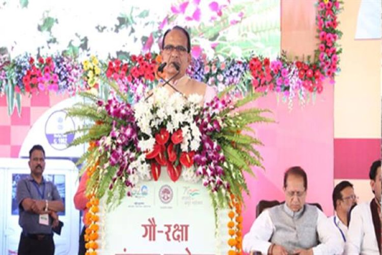 मुख्यमंत्री ने 406 एम्बुलेंस को हरी झण्डी दिखा कर किया रवाना, एम्बुलेंस बुलाने के लिए टोल फ्री नम्बर 1962 जारी किया