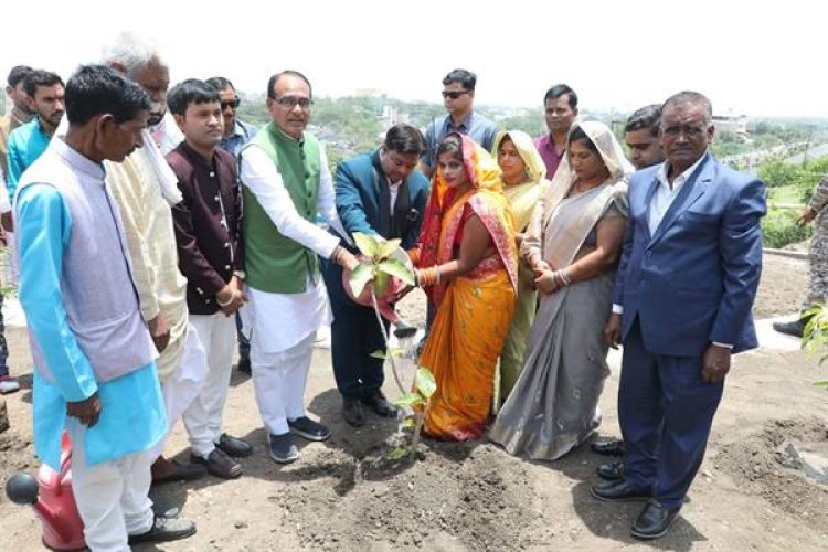 विश्व हाइपरटेंशन दिवस पर मुख्यमंत्री ने चिकित्सकों के साथ किया पौध-रोपण