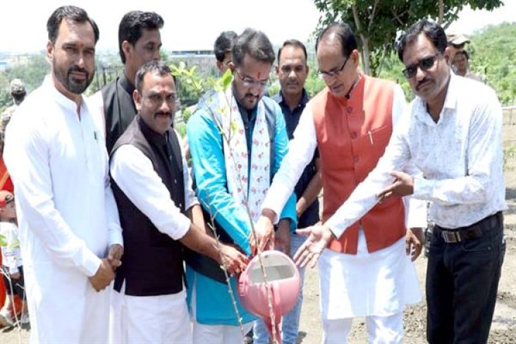 मुख्यमंत्री ने सामाजिक कार्यकर्ताओं के साथ किया पौध-रोपण