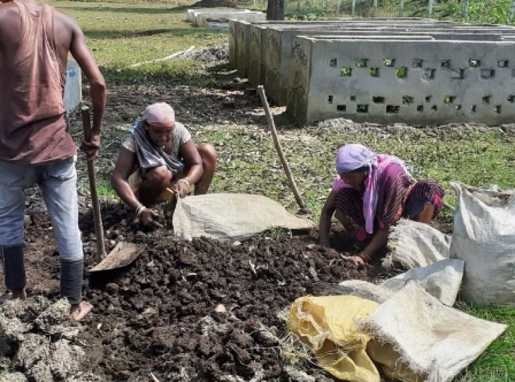 लखपति बनी चारपारा गौठान की दीदियां, वर्मी कंपोस्ट से लाभांश के रूप में मिले 3 लाख 68 हजार