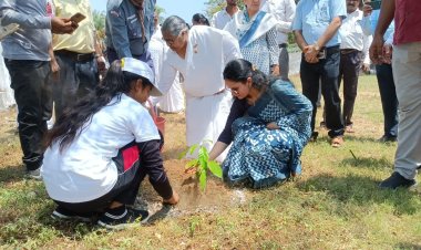 नेहरू पार्क में मनाया गया विश्व पर्यावरण दिवस...