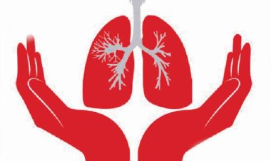 प्रदेश के 7 जिलों की 29 ग्राम पंचायत टीबी मुक्त