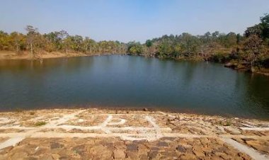 नरवा विकास कार्यक्रम: वनांचलों में बढ़ रहा सिंचाई का रकबा, 3097 किसान हो रहे लाभान्वित