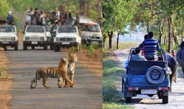 हरियाणा  में बनेगी दुनिया की सबसे बड़ी जंगल सफारी