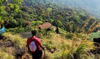 CM गहलोत ने दी 15 करोड़ रुपए की वित्तीय मंजूरी, आधुनिक उपकरणों से मजबूत होगी वन्यजीवों की निगरानी