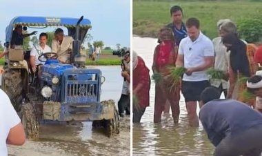 सुबह-सुबह सोनीपत पहुंचे राहुल गांधी, किसानों के साथ धान की रोपाई की