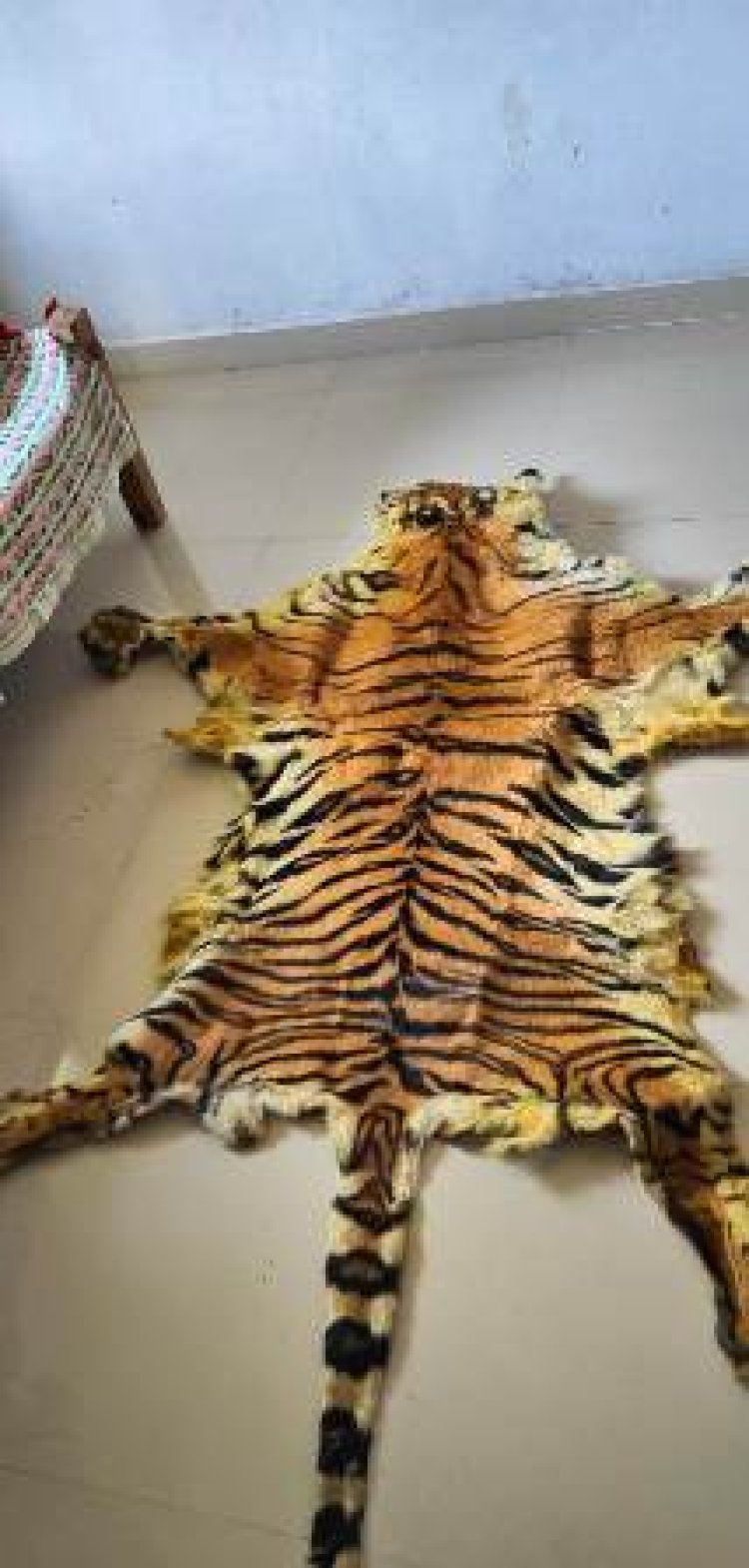 बीजापुर के मद्देड़ बफर रेंज में बाघ के खाल के साथ 10 गिरफ्तार
