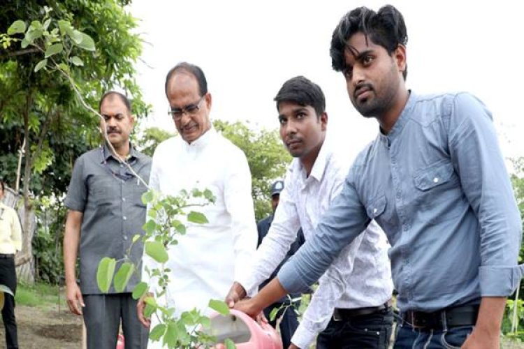 मुख्यमंत्री चौहान ने नीम, खिरनी और कचनार के पौधे रोपे