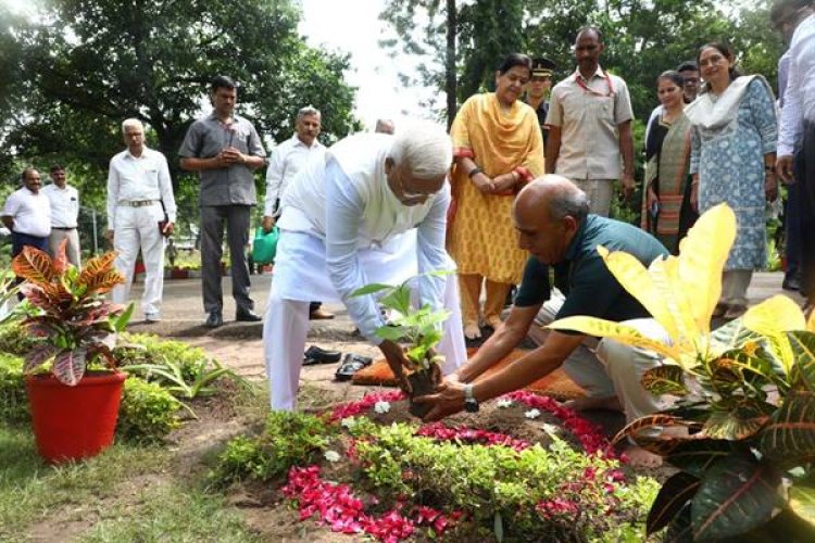 राज्यपाल मंगुभाई पटेल ने 2 वर्ष के कार्यकाल की पूर्णता पर किया पौध-रोपण