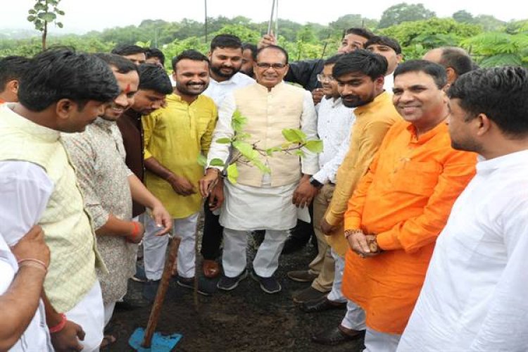 मुख्यमंत्री ने जामुन, खिरनी और केसिया के पौधे रोपे
