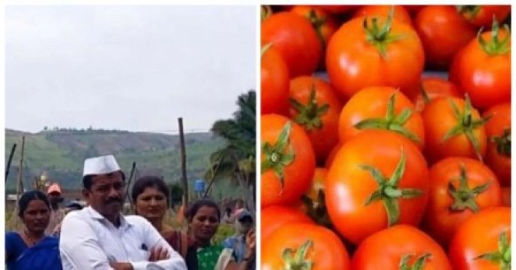 टमाटर ने किसान को बनाया करोड़पति, 1 महीने में ही कमाए डेढ़ करोड़ रुपए