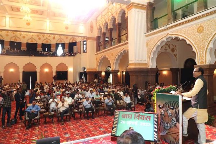 785 बाघ मध्यप्रदेश में, एक बार फिर टाइगर स्टेट बना प्रदेश: CM शिवराज 