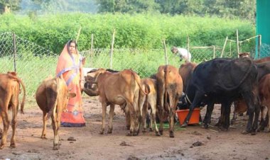 सरकारी योजना का लाभ लेकर उर्मिला बनी सफल डेयरी व्यवसायी