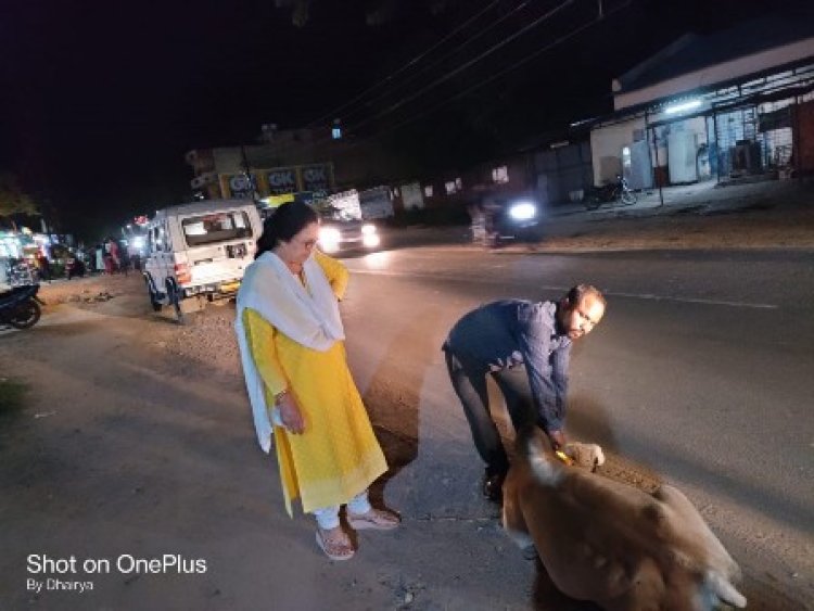 रोका छेका अभियान के तहत घुमंतु पशुओं को लगया जा रहा रेडियम बेल्ट एवं टैंग