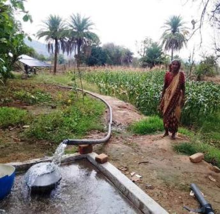 छत्तीसगढ़ में सोलर सिंचाई पम्पों से खेतों में छायी हरियाली, साढ़े चार साल में लगाए गए 1.37 लाख सोलर पम्प