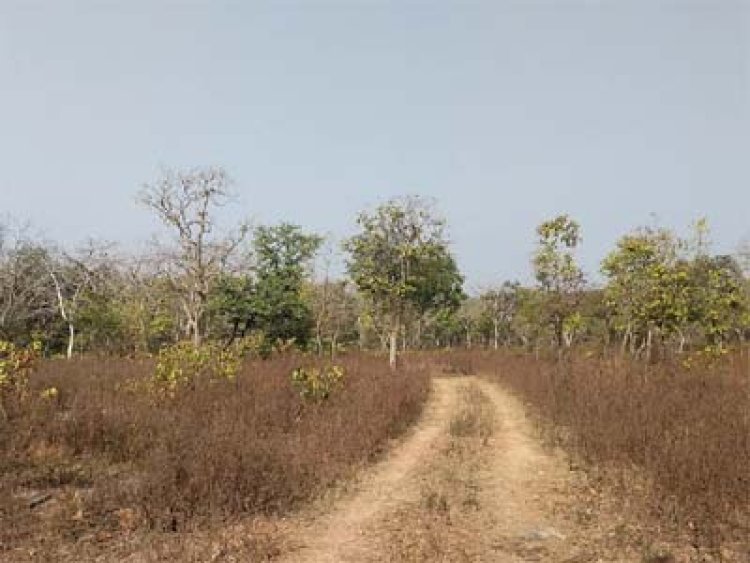 सतना जिले में खनिज प्रतिष्ठान मद में 6 वर्षों में 256 करोड़ के कार्यों का अनुमोदन