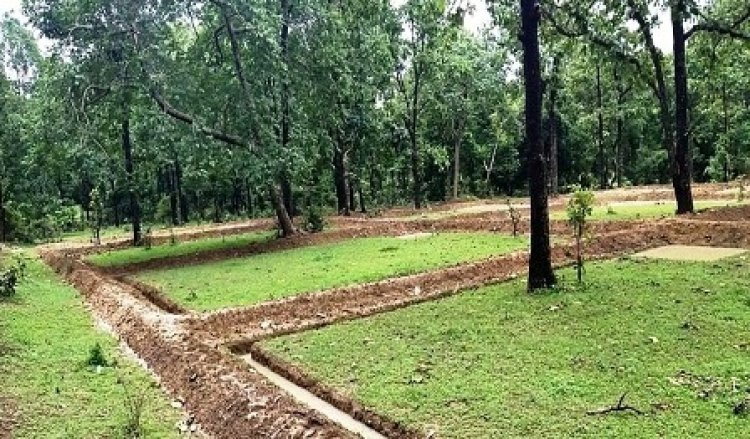 कैम्पा: वर्ष 2022-23 के अंतर्गत 300 करोड़ रूपए से 29 लाख से अधिक संरचनाओं का निर्माण जारी