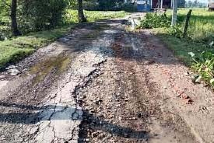 2 सितंबर से प्रदेश में चलेगा गड्डा मुक्त सडक अभियान, पीडब्ल्यूडी का अमला उतरेगा सड़कों पर