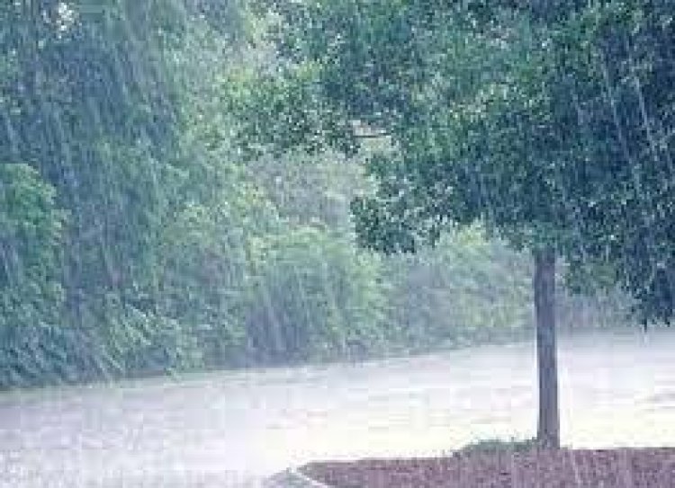 छत्तीसगढ़ में अब तक 719.9 मि.मी. औसत वर्षा दर्ज